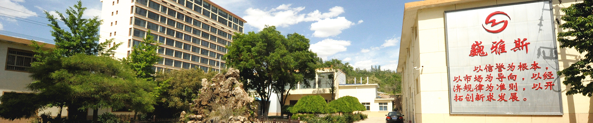 巍雅斯開創(chuàng)于1976年，50年來，在黨的改革開放政策指引下，始終堅持“以信譽為根本、以市場為導向、以經濟規(guī)律為準則、以開拓創(chuàng)新求發(fā)展”，與甘肅、寧夏、青海、陜西、西藏、內蒙等六省區(qū)80多家大型零售商場建立了長期友好的合作關系。